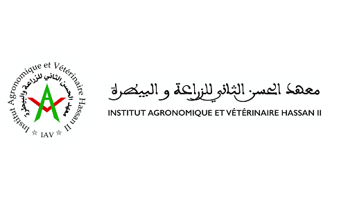 IAV agadir